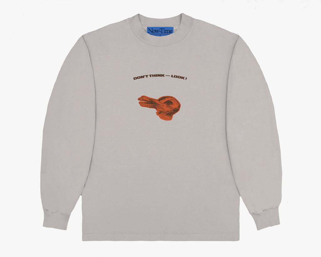 Duck-Rabbit / Wittgenstein