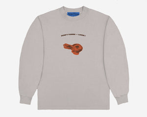 Duck-Rabbit / Wittgenstein